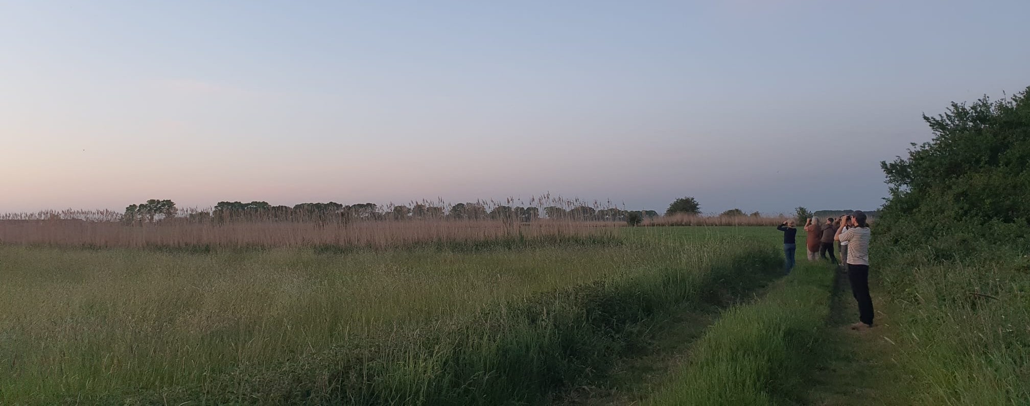 Een avondexcursie in de broeken bij het basiskamp leverde opnieuw spectaculaire waarnemingen op.