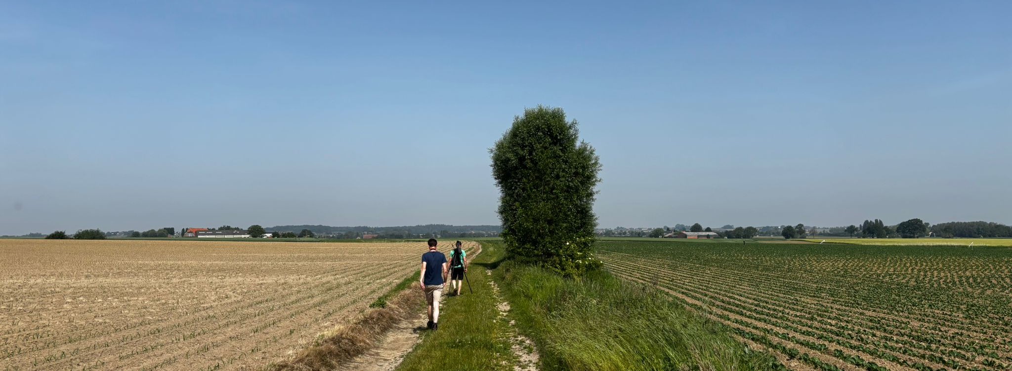 Kiek'n Gors Westhoek: op 135 punten 10 minuten lang alle (akker-)vogels noteren (Foto 1: Bart Goudeseune, vrijwilliger).