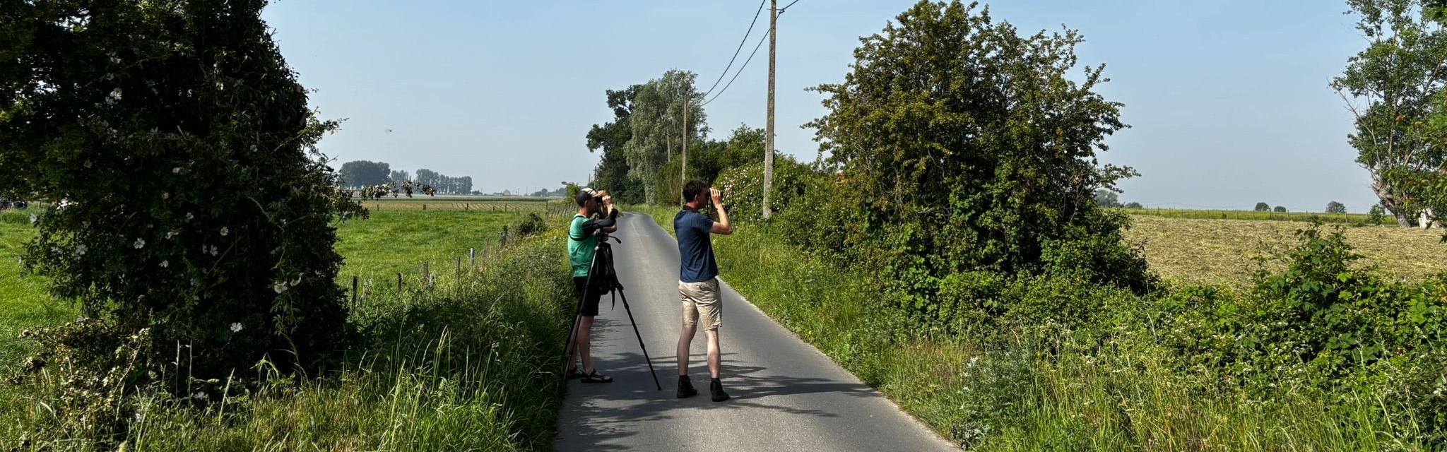 Op zoek naar akkervogels in een halfopen landschap (Foto: Bart Goudeseune , Vrijwilliger)