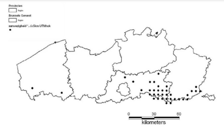 Verspreiding grauwe gors in Vlaanderen in 2008 (Bron: Lewylle et al. 2009)