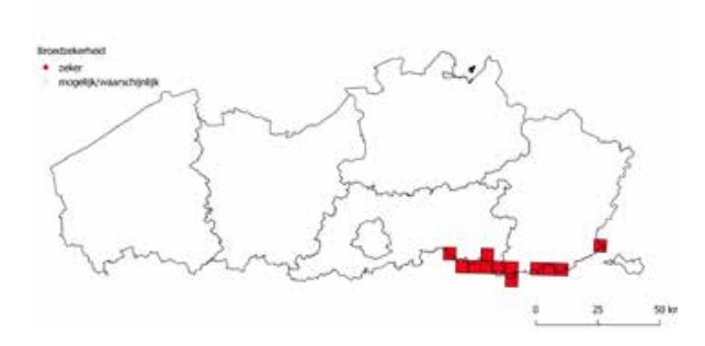 Utm-hokken (5x5km) met aanwezigheid Grauwe Gors in 2018 (Bron: Werkgroep Grauwe Gors