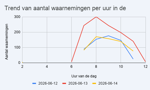 duidelijke piek tussen 7u en 8u, geen rekening gehouden met de effectieve start van elk team.